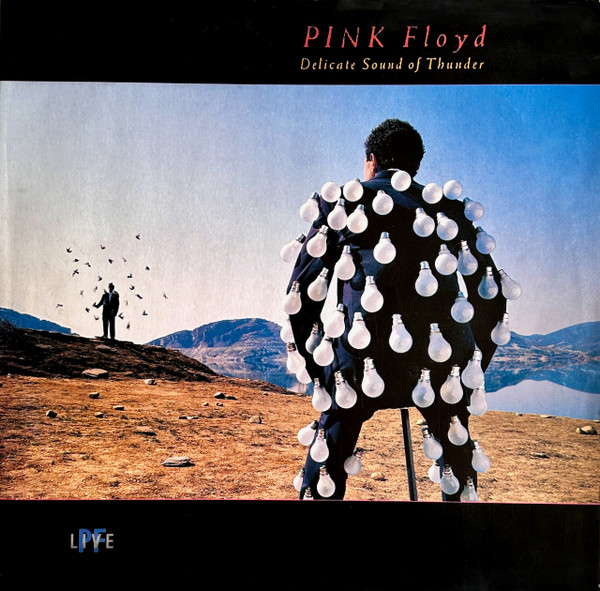 Pink Floyd ‎– Delicate Sound Of Thunder