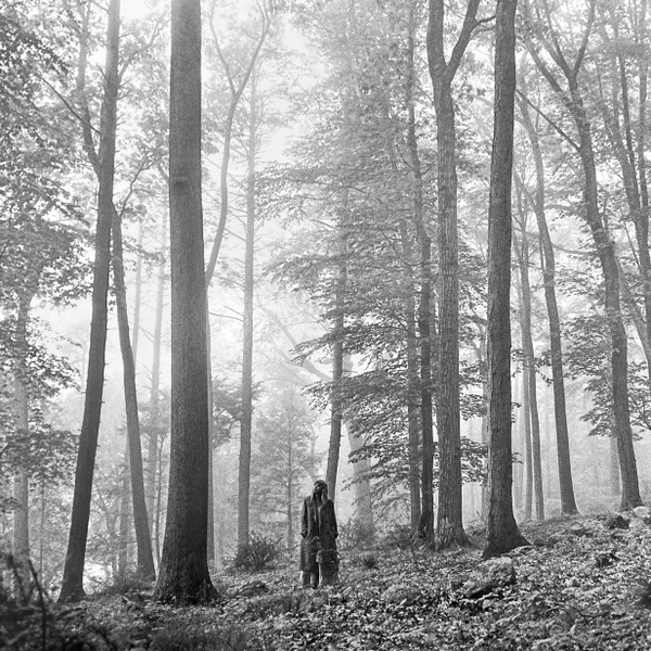 Taylor Swift ‎– Folklore