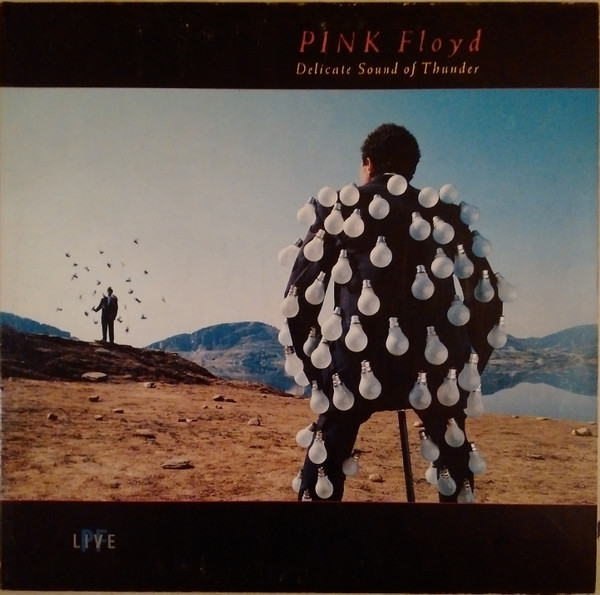 Pink Floyd ‎– Delicate Sound Of Thunder