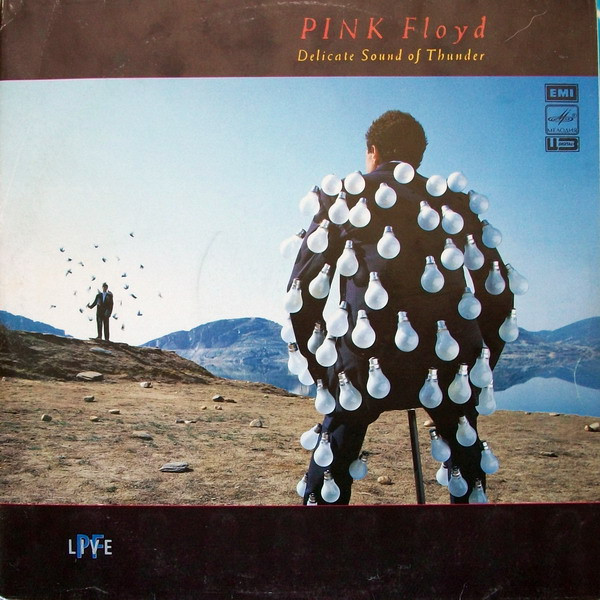 Pink Floyd ‎– Delicate Sound Of Thunder (Только 2-я ПЛАСТИНКА!!!)