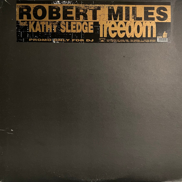Robert MilesKathy Sledge ‎– Freedom