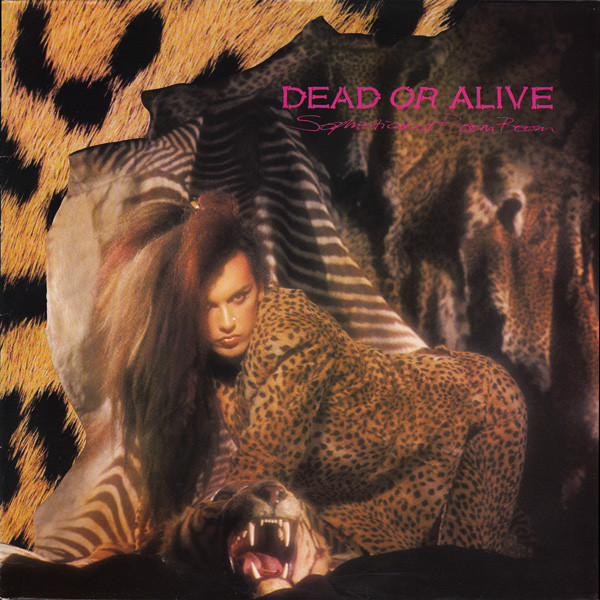 Dead Or Alive ‎– Sophisticated Boom Boom