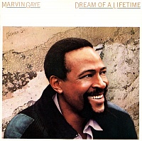 Marvin Gaye ‎– Dream Of A Lifetime