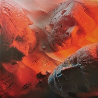 Muse ‎– Will Of The People