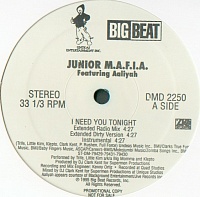 Junior M.A.F.I.A.Aaliyah ‎– I Need You Tonight