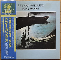 Tony Banks ‎– A Curious Feeling