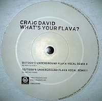 Craig David ‎– What's Your Flava?
