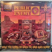 Public Enemy ‎– What You Gonna Do When The Grid Goes Down?
