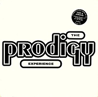 The Prodigy ‎– Experience