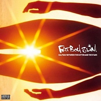 Fatboy Slim ‎– Halfway Between The Gutter And The Stars