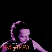 Dave Gahan ‎– Dirty Sticky Floors